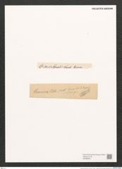 Navicula grunowii Rbh. (de-Toni-Nr.: Genus 1, Species 242) Zeichnungen Sammlung Grunow (NHMW-BOT-W0366929)